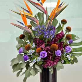 Midnight Tropics Vase Arrangement - Bird of Parade with Dark Purple Flowers